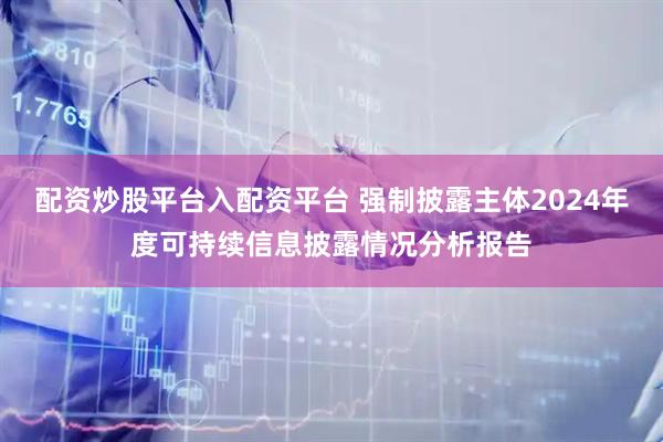 配资炒股平台入配资平台 强制披露主体2024年度可持续信息披露情况分析报告