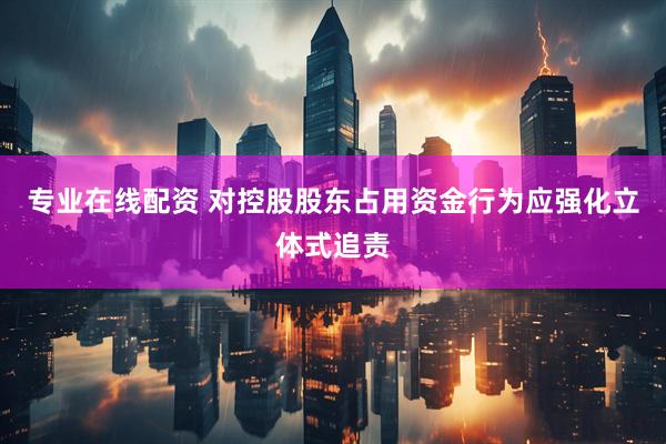 专业在线配资 对控股股东占用资金行为应强化立体式追责